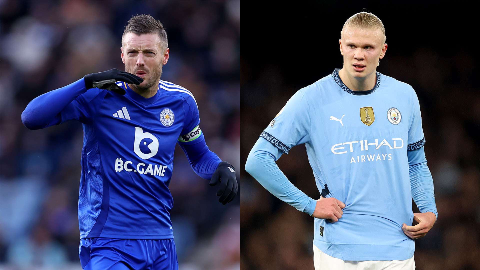 奶猫从中可 奶猫从中可